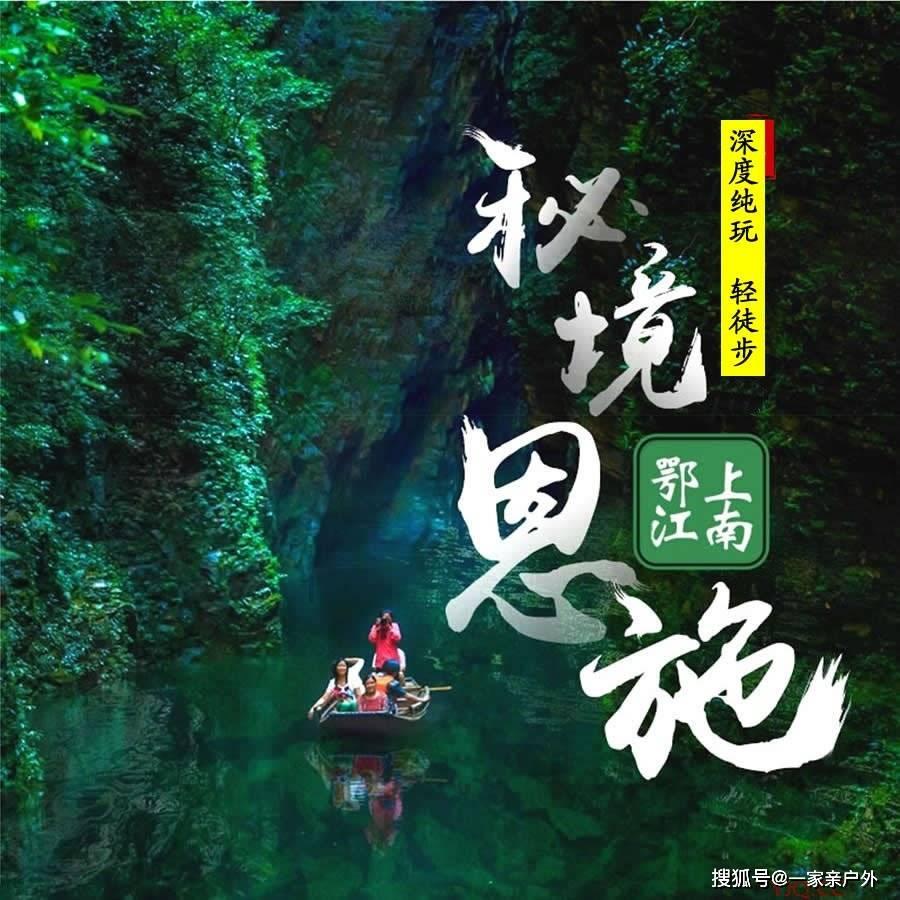 百亩蔬菜喜丰收 助力村集体经济发展