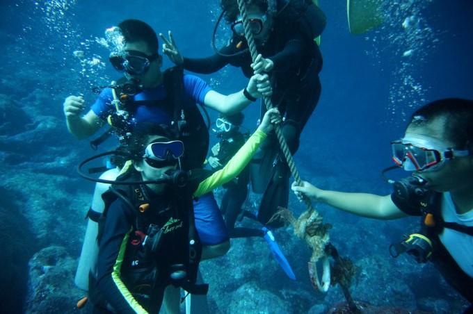 网友与流浪猫、狗的暖心故事!当网友遇上不请自来的小家伙们